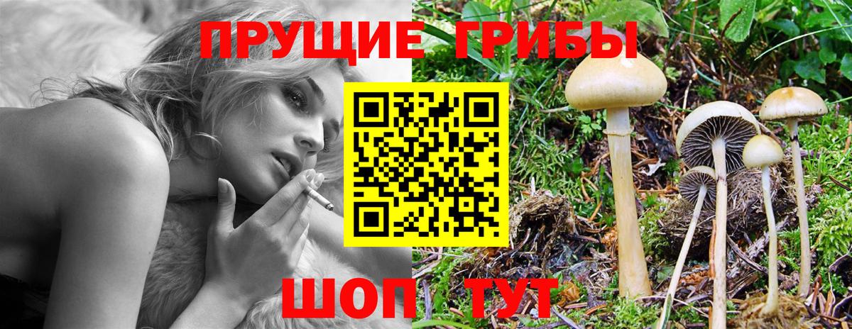Галлюциногенные грибы мицелий Новоалтайск
